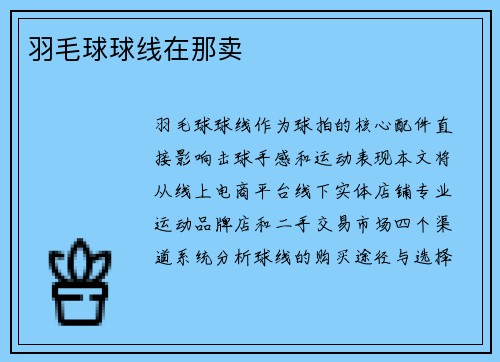 羽毛球球线在那卖
